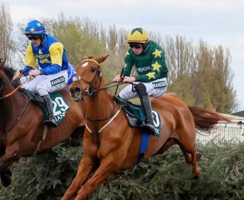 Naas Race Cards 27 April at Naas Ireland racing meeting