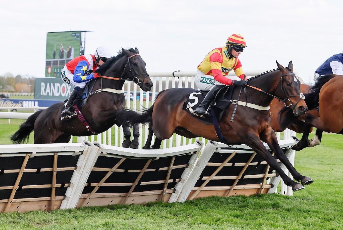 Storming George jumps the final hurdle in the Top Novices’ Hurdle