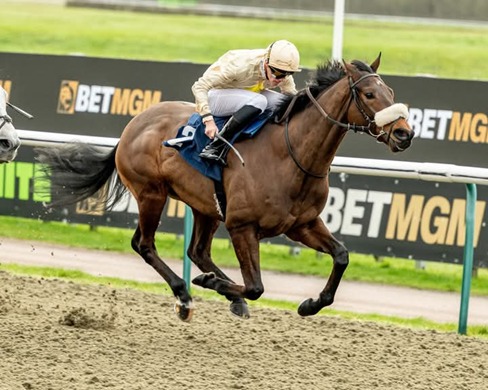 Lingfield Park Race Cards 27 April eight-race programme overview