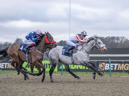 Lingfield Park Race Cards 28 April evening race meeting action