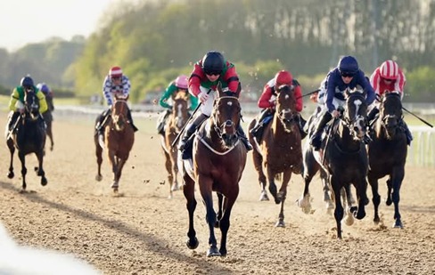 Southwell Race Cards 28 April all-weather racing action