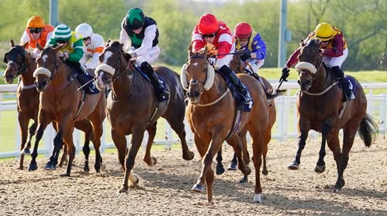 Southwell Race Cards 29 April all-weather full race preview