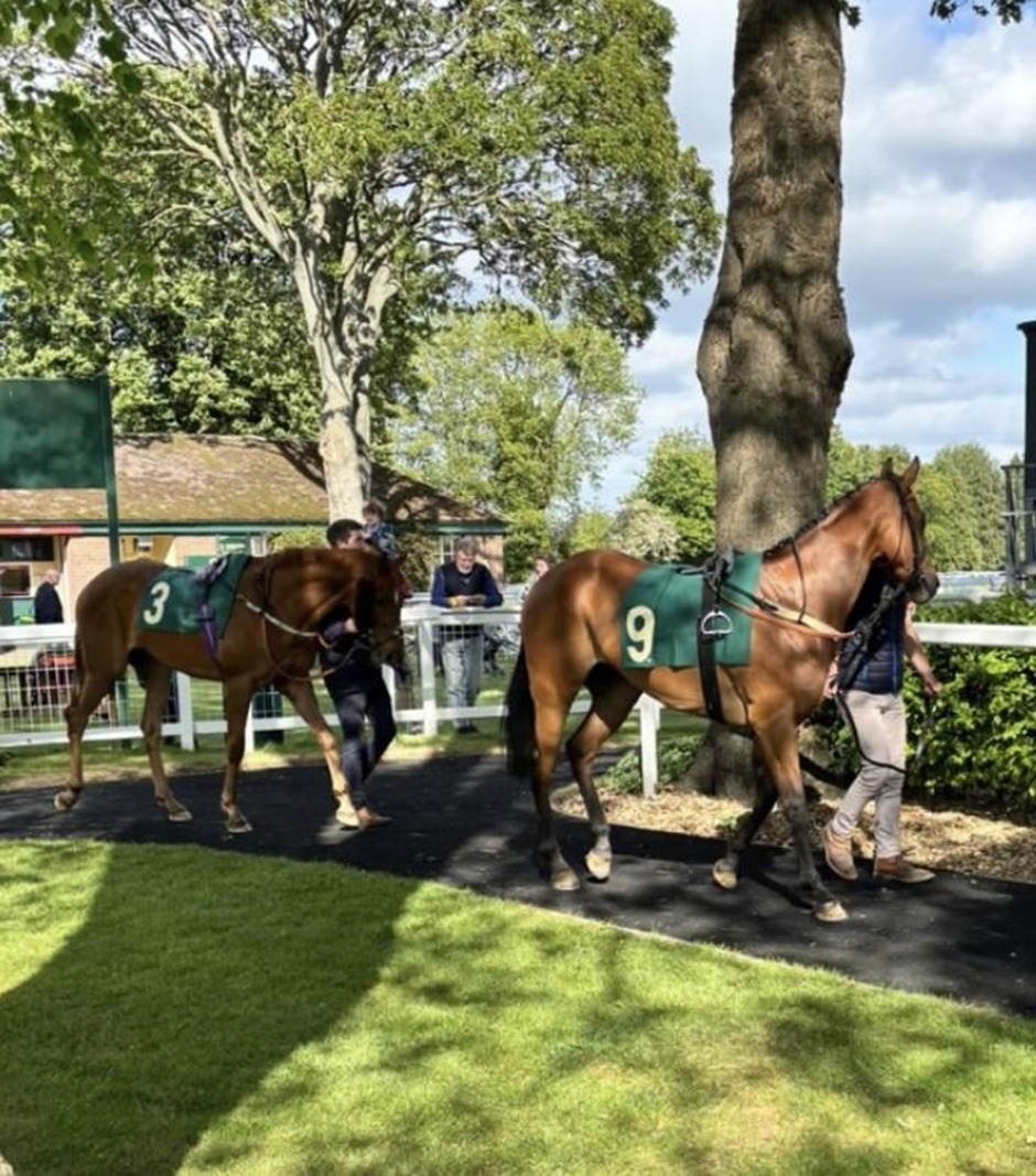 Ripon racecards 16 April flat racing action at Ripon Racecourse