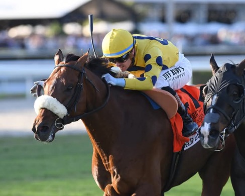 Aqueduct Race Cards 19 April horses racing preview