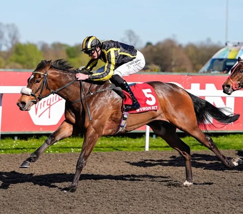 Kempton Park Race Cards 30 April all-weather runners preparing for the evening fixture