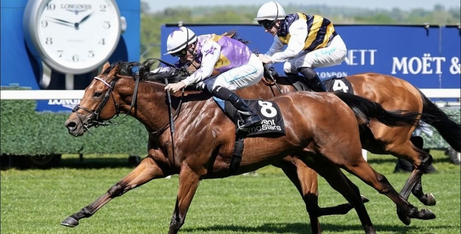Ascot racecards 1 May flat racing action at Ascot Racecourse
