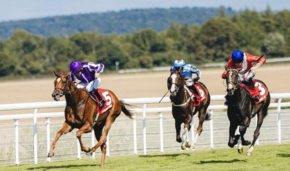 Goodwood racecards 1 May flat racing action at Goodwood Racecourse