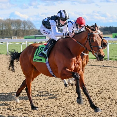 Newcastle Race Cards 11 April National Hunt race meeting runners and schedule