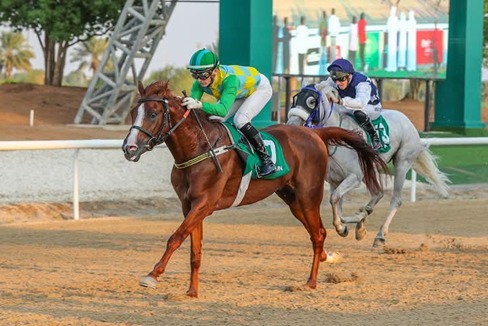 Al Ain Race Cards 3 April evening nine-race programme