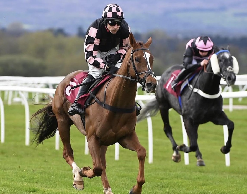 Bangor on Dee race results 31 march six race jump racing action