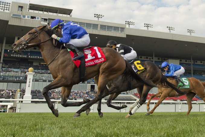 Horses nominated for the 2026 Canadian Triple Crown led by entries for The King’s Plate at Woodbine