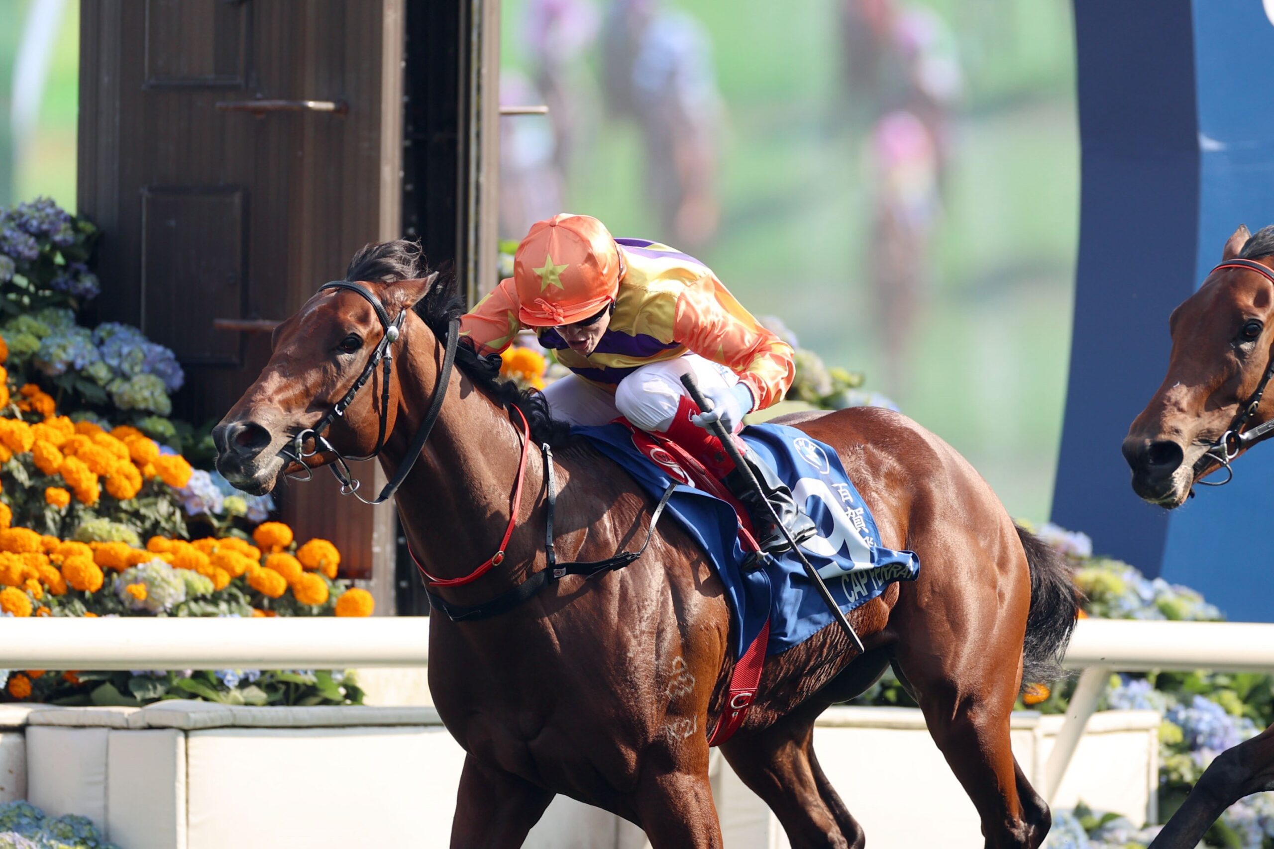 Cap Ferrat preparing for FWD Champions Mile 2026 at Sha Tin