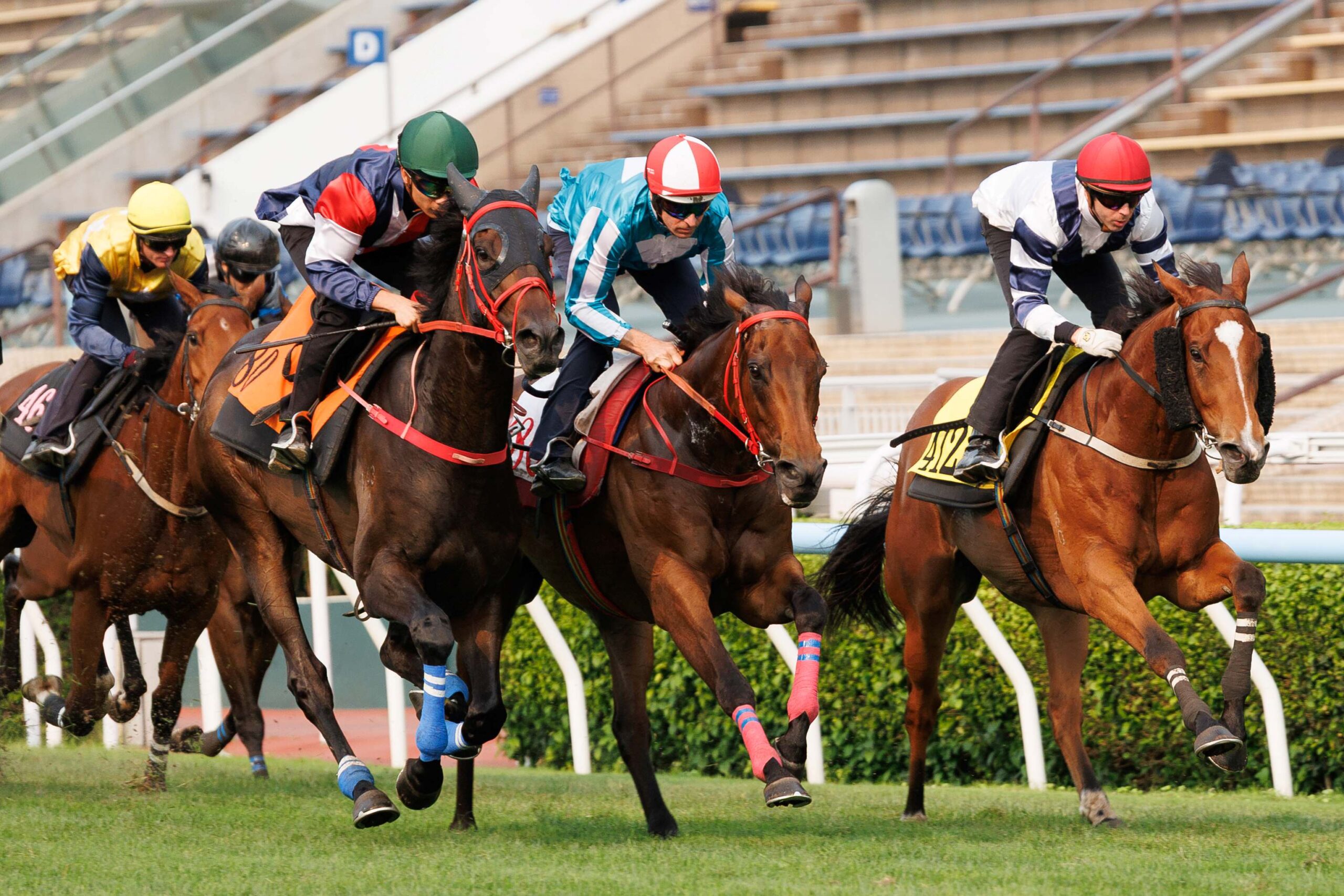 Romantic Warrior works in a Sha Tin trial ahead of the QEII Cup