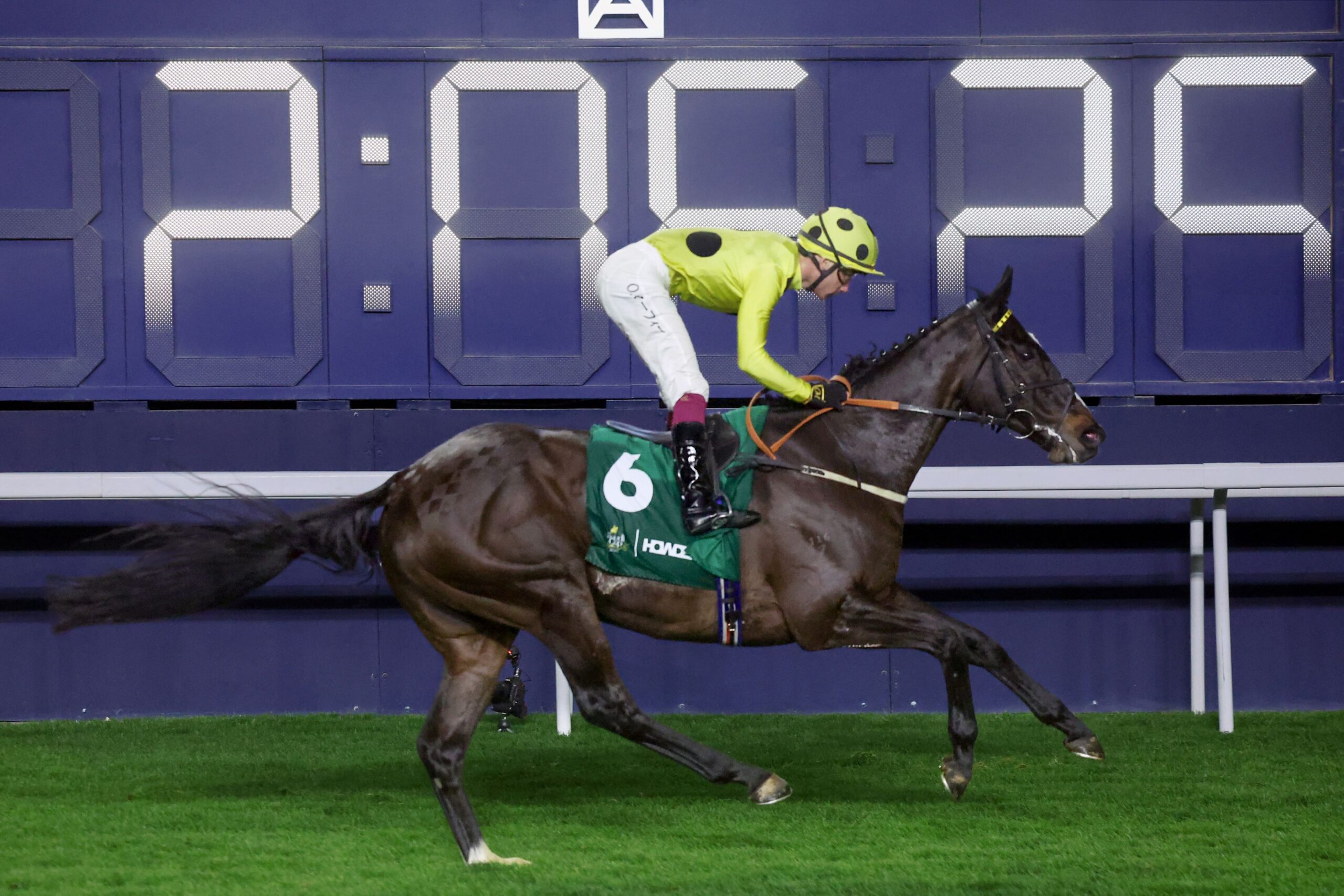 Royal Champion prepares for the QEII Cup 2026 challenge against Romantic Warrior at Sha Tin