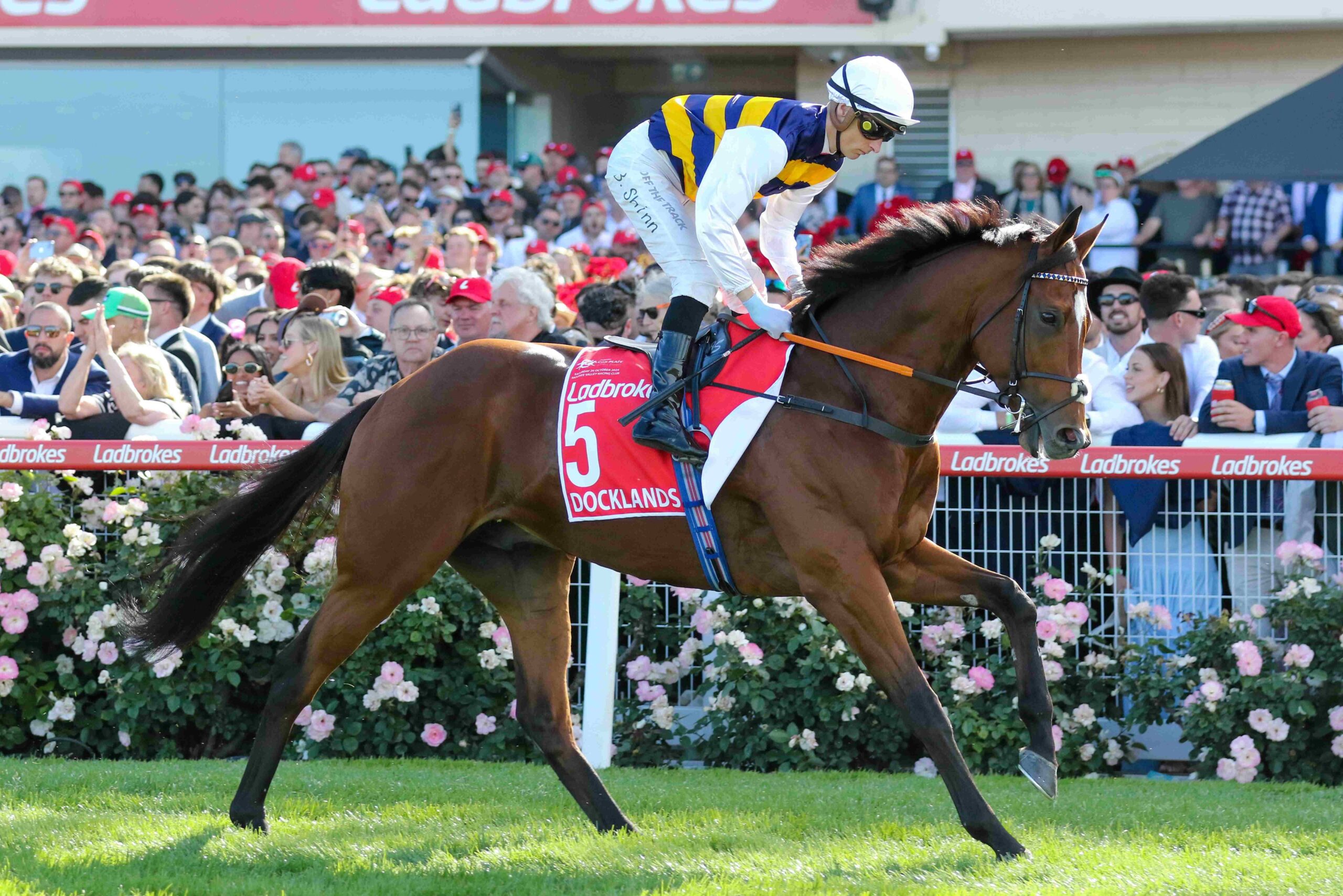 Docklands preparing for FWD Champions Mile at Sha Tin