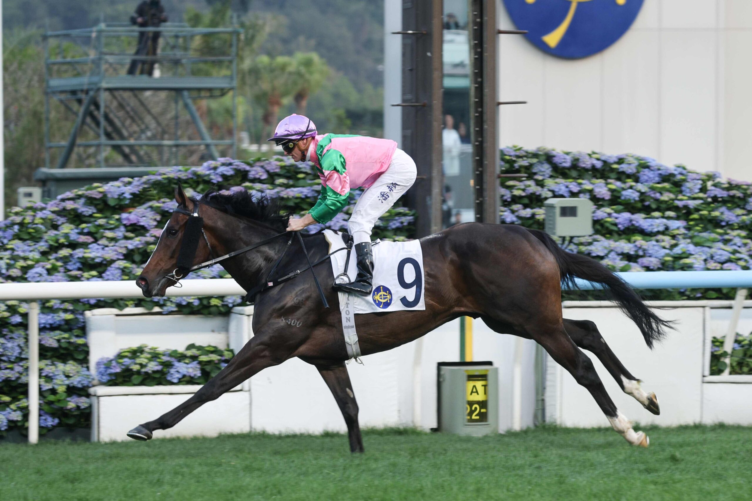 Zac Purton riding at Sha Tin as he nears 100 wins milestone