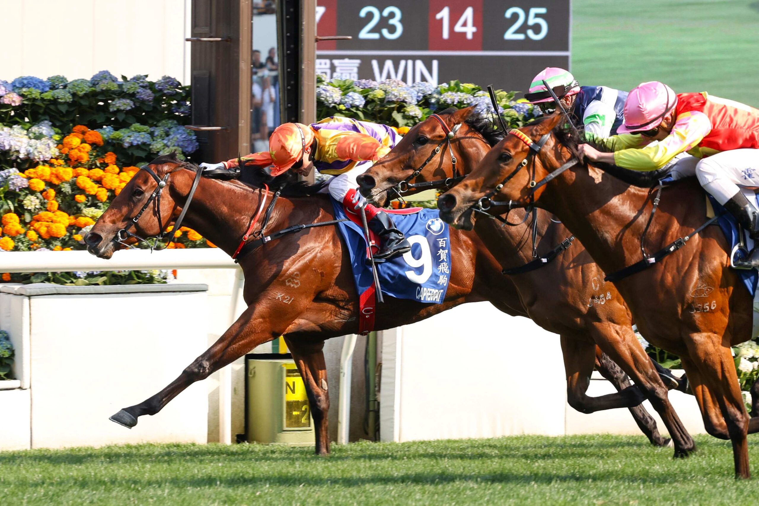 Craig Williams aboard Cap Ferrat ahead of the Champions Mile at Sha Tin