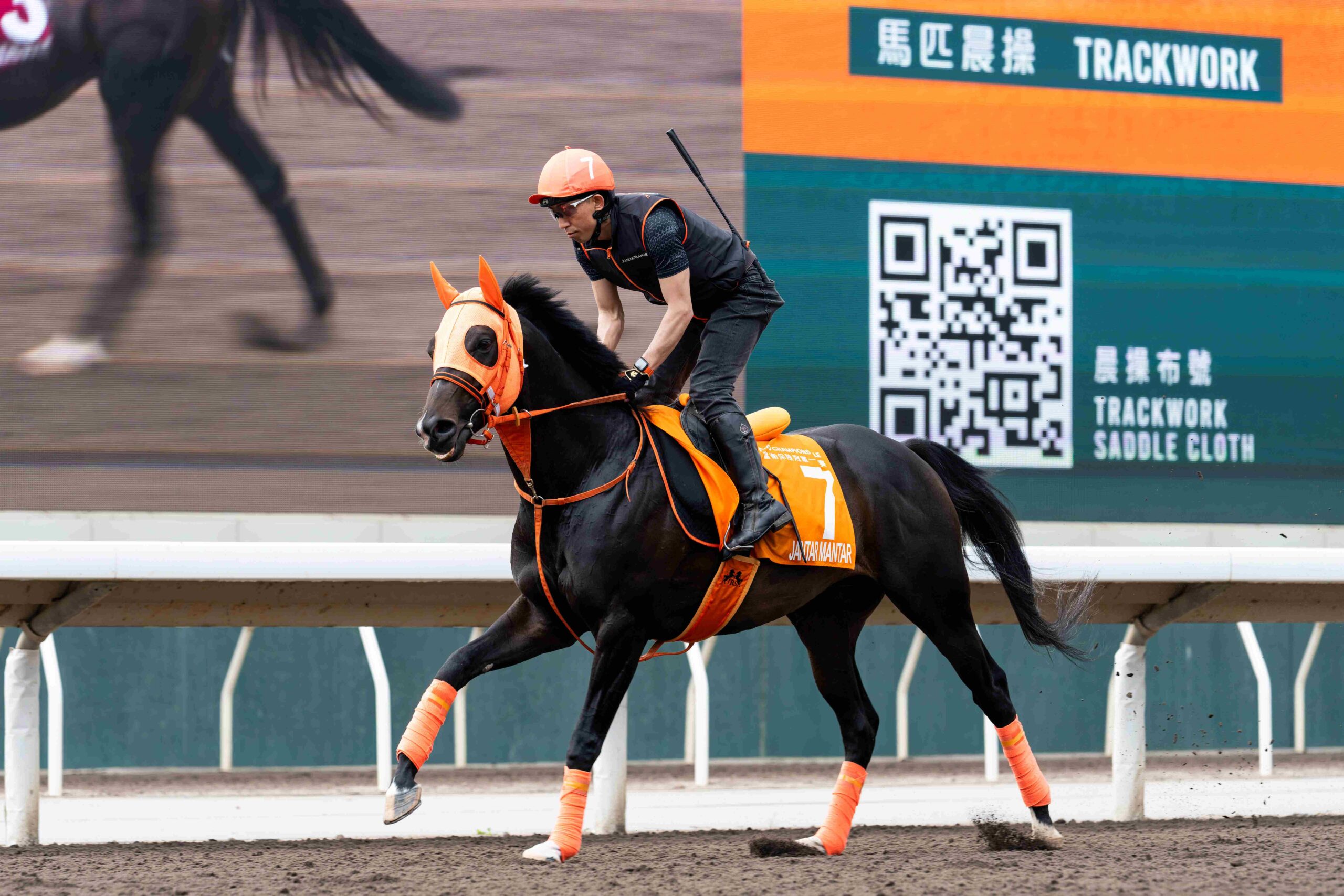Jantar Mantar training ahead of Champions Mile at Sha Tin