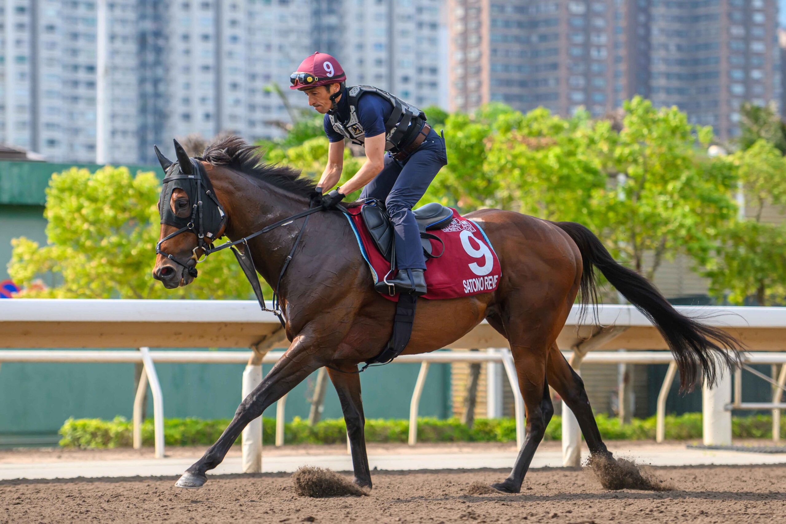 Satono Reve and Ka Ying Rising in action at Sha Tin sprint race
