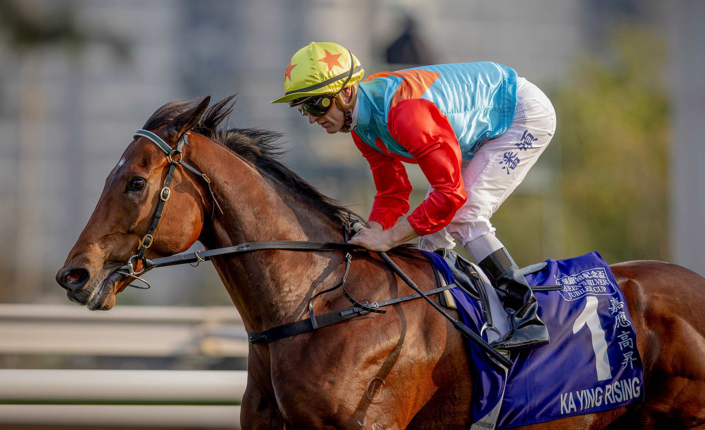 Ka Ying Rising racing at Sha Tin ahead of Chairman’s Sprint Prize 2026