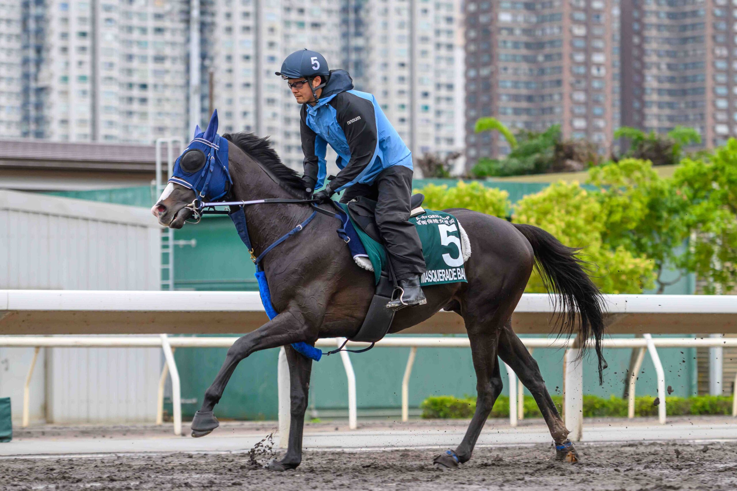 Masquerade Ball training at Sha Tin ahead of QEII Cup 2026