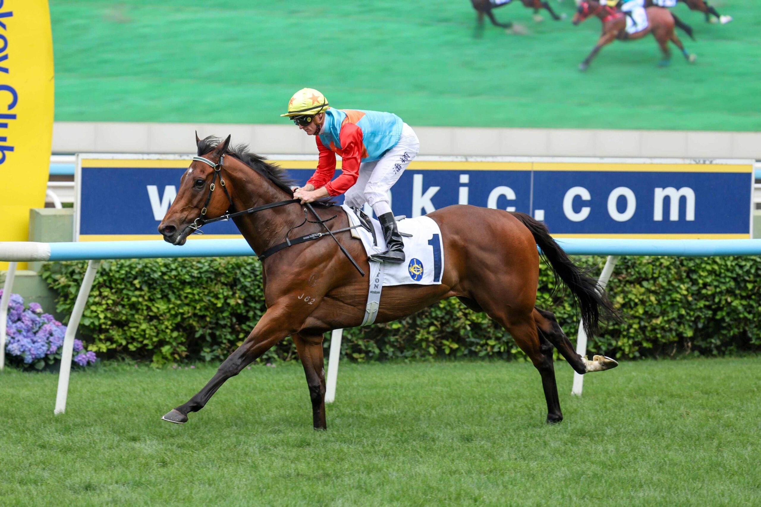 Ka Ying Rising sprinting to victory at Sha Tin Racecourse