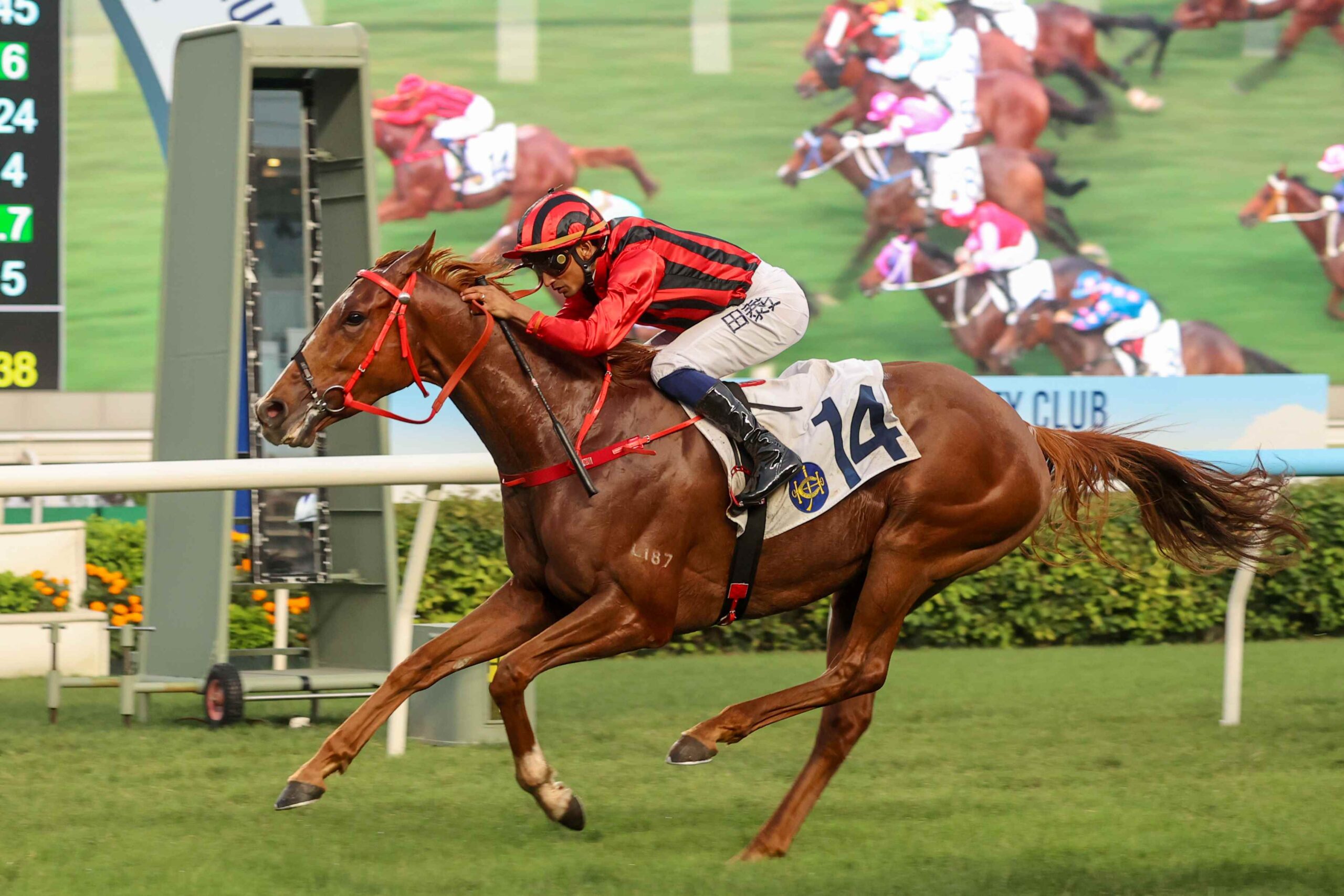 Nautical Force winning on debut at Sha Tin under Karis Teetan