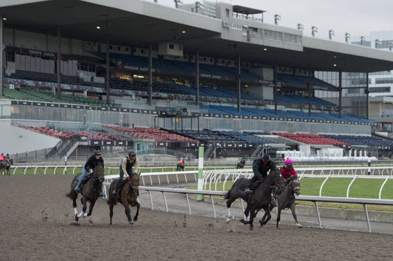 Woodbine Racetrack opens the 2026 Thoroughbred racing season in Toronto