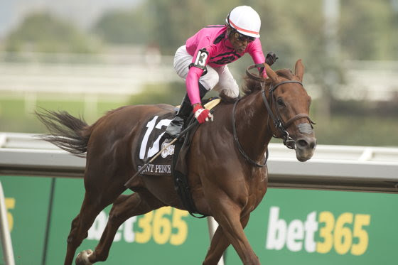 Patrick Husbands riding Wando during Canadian Triple Crown victory