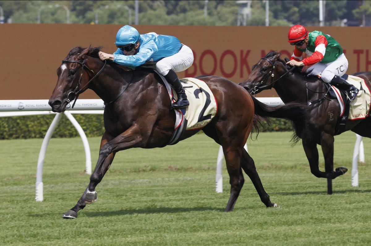 Chayan winning the Reisling Stakes ahead of Inglis Chairman’s Sale 2026