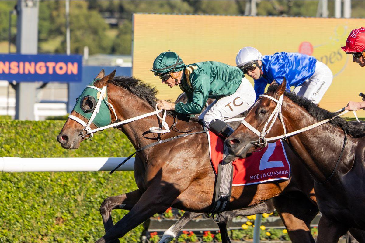 Fireball winning the Group 1 Champagne Stakes at Randwick