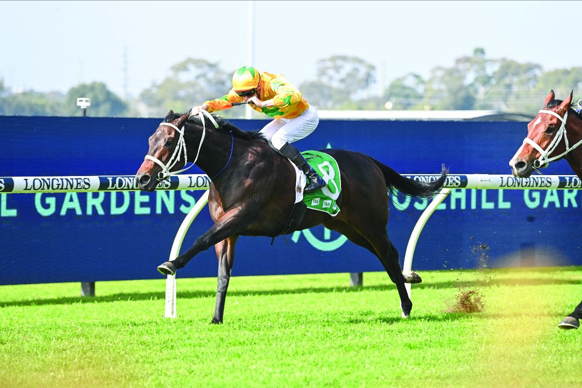 Tutta La Vita thoroughbred mare profile Inglis Digital April Sale