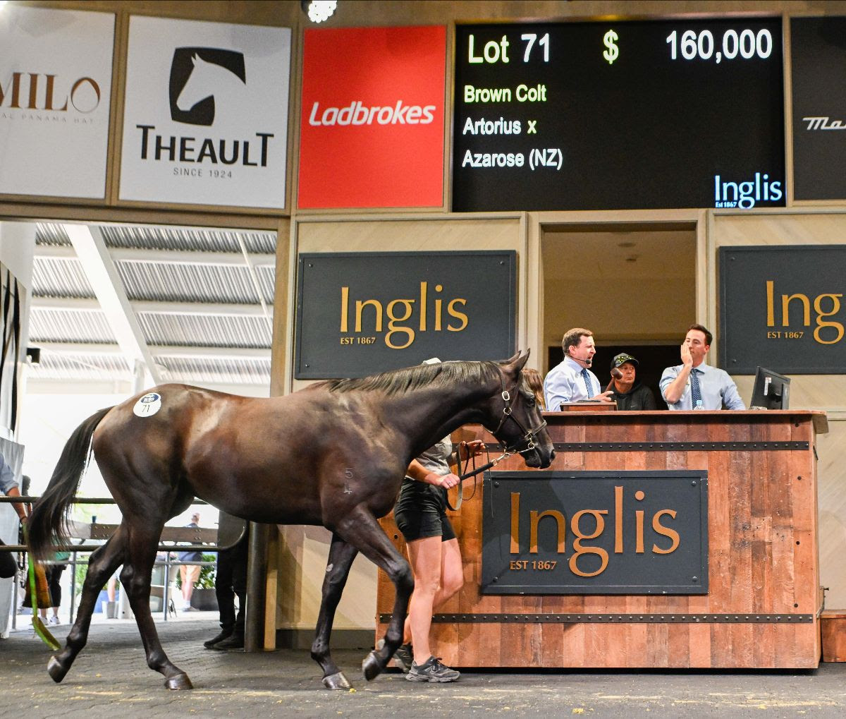 Artorius colt tops the HTBA Yearling Sale at Riverside for $160,000