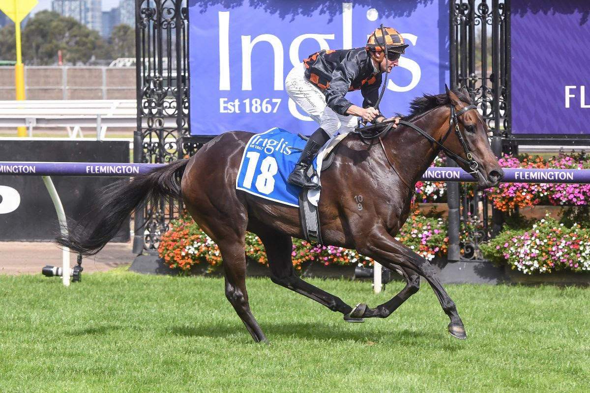 Australian Weanling Sale 2026 catalogue featuring top stallion progeny