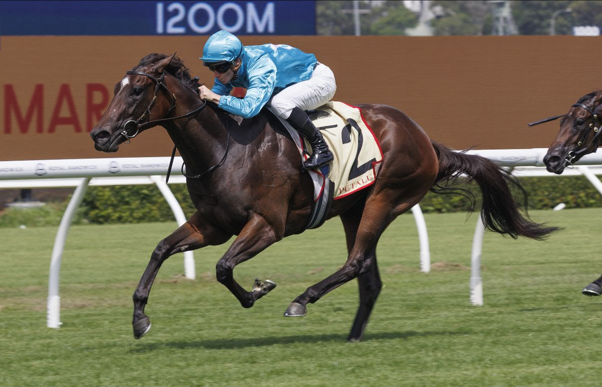 Chayan Inglis Chairman’s Sale entry Reisling Stakes at Rosehill ahead of Inglis Chairman’s Sale