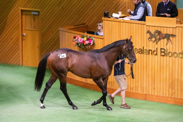 Gold Patch winning at Sha Tin under Zac Purton