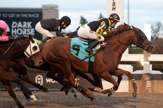 Florida Won, now Felix, enjoying his new life at LongRun