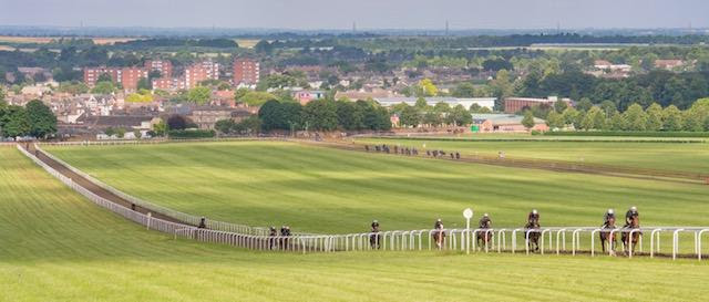 Thoroughbred horses training on Newmarket gallops at sunrise
