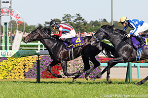 Japanese Derby 2026 Preview