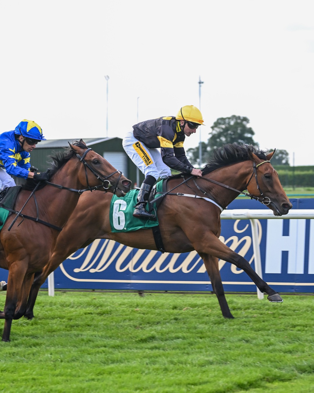 Thirsk race results 16 May Saturday flat racing action at Thirsk Racecourse