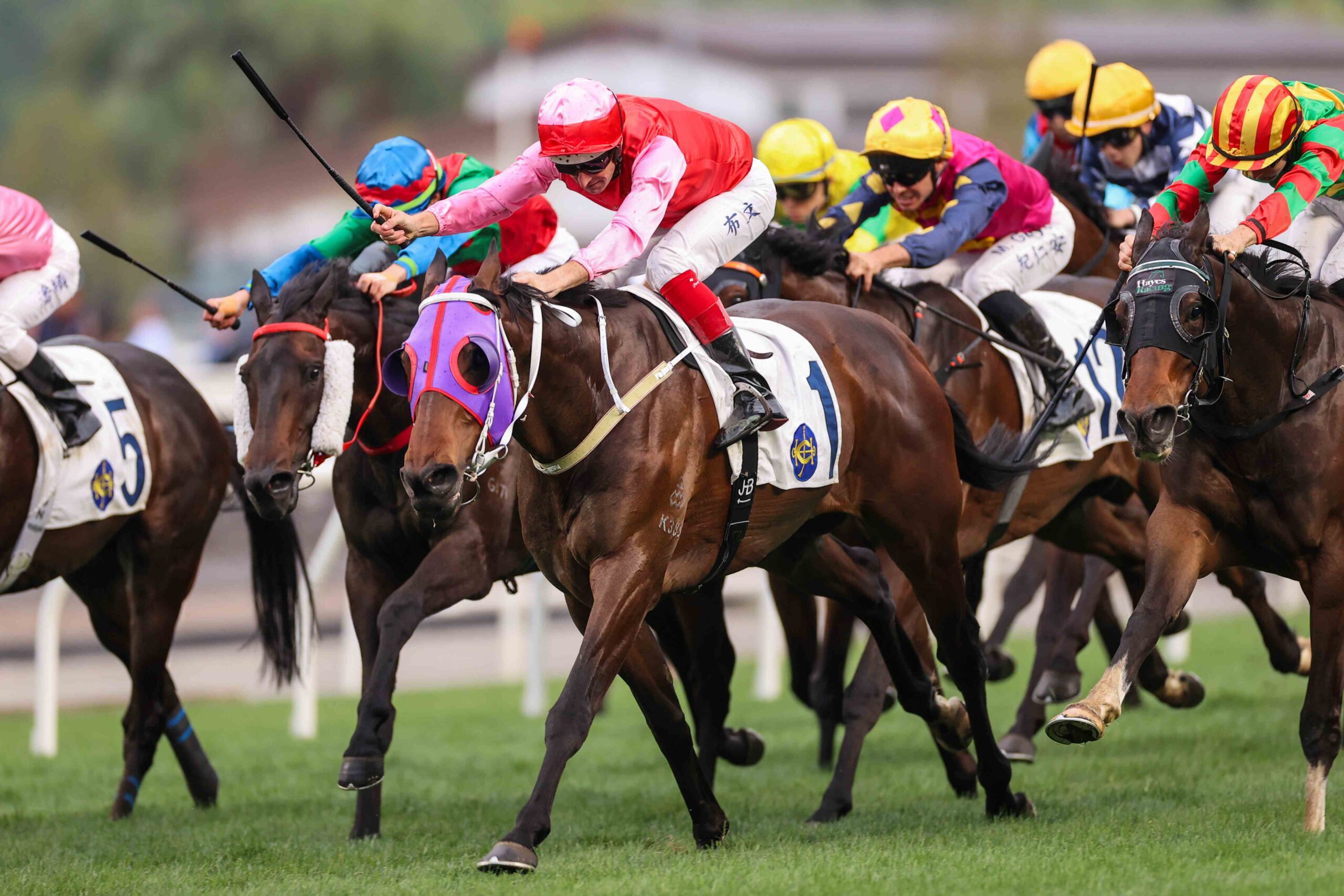 Gentlemen Legacy working ahead of the 2026 Champions & Chater Cup at Sha Tin