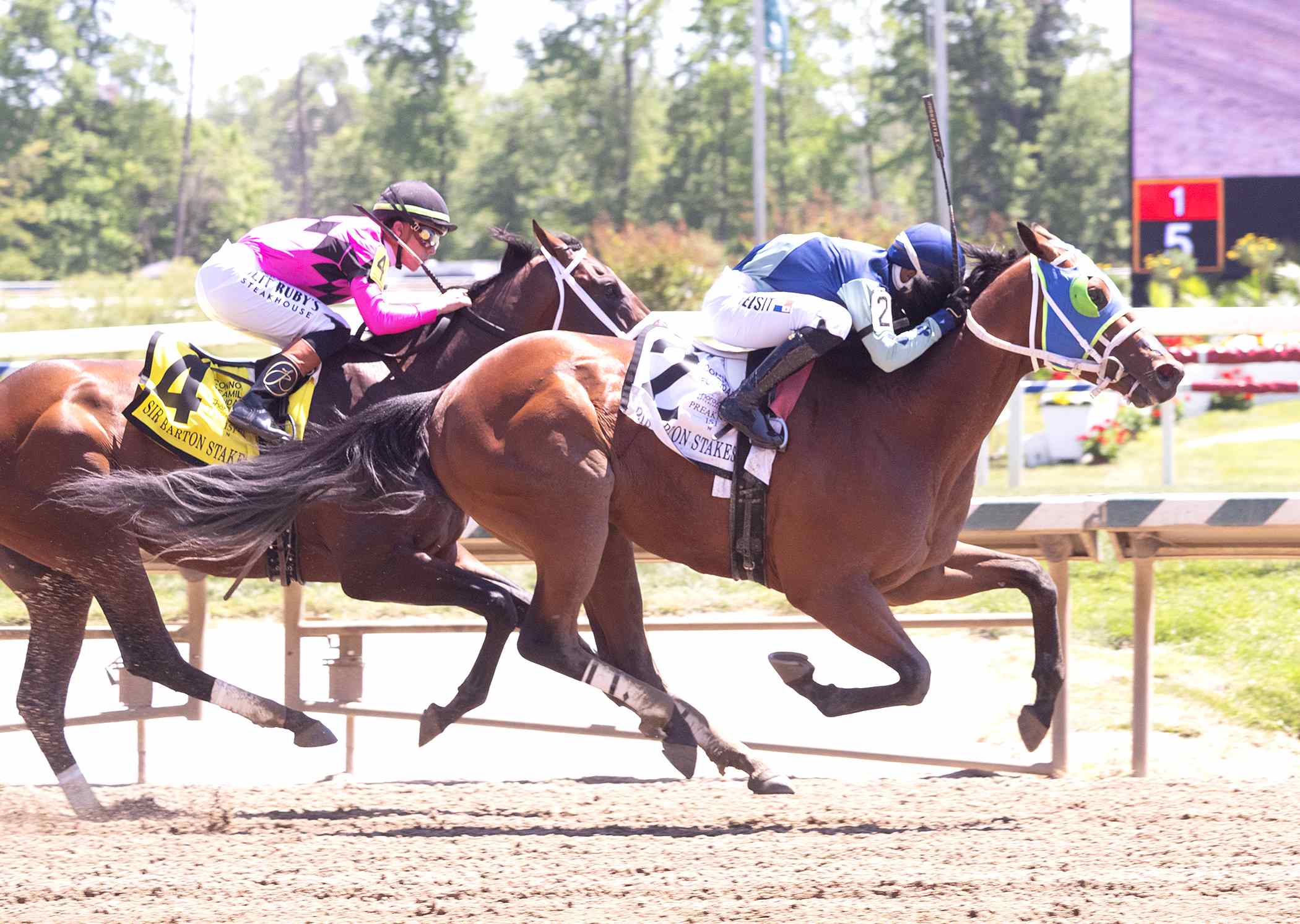 Big Cuddle defeating Final Story in the Sir Barton Stakes at Laurel Park