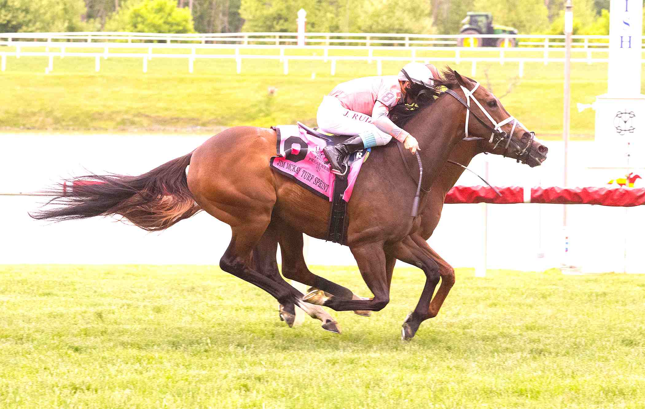 Chasing Liberty wins the Jim McKay Turf Sprint at Laurel Park under Irad Ortiz Jr.