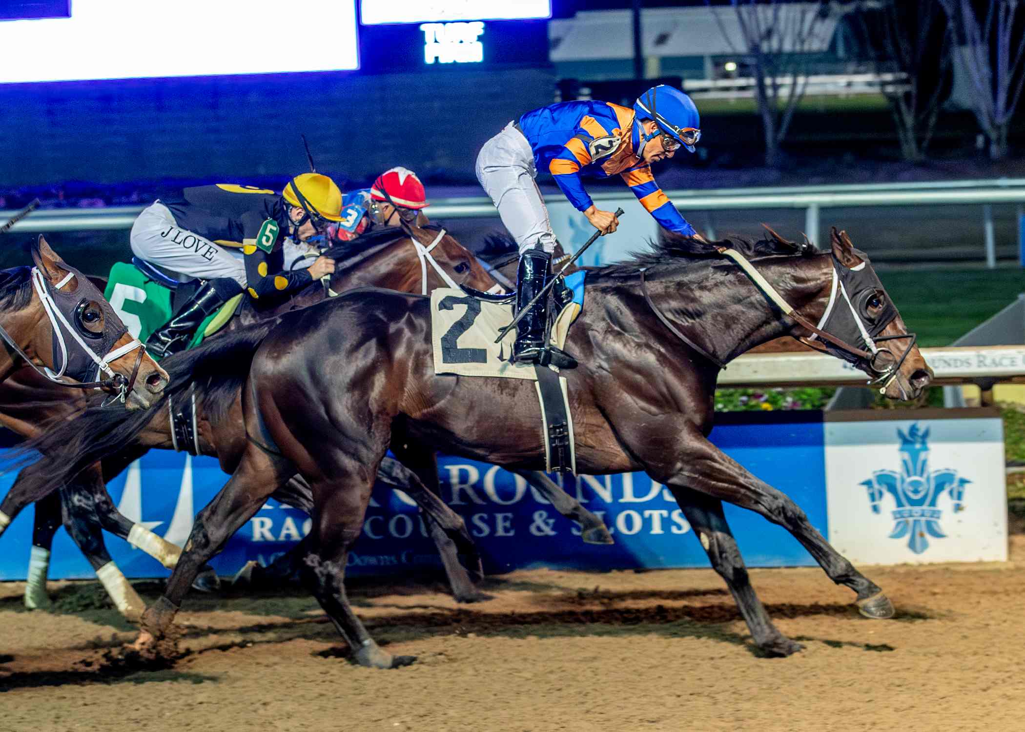 Chip Honcho racing profile at Laurel Park Preakness Stakes 2026 feature