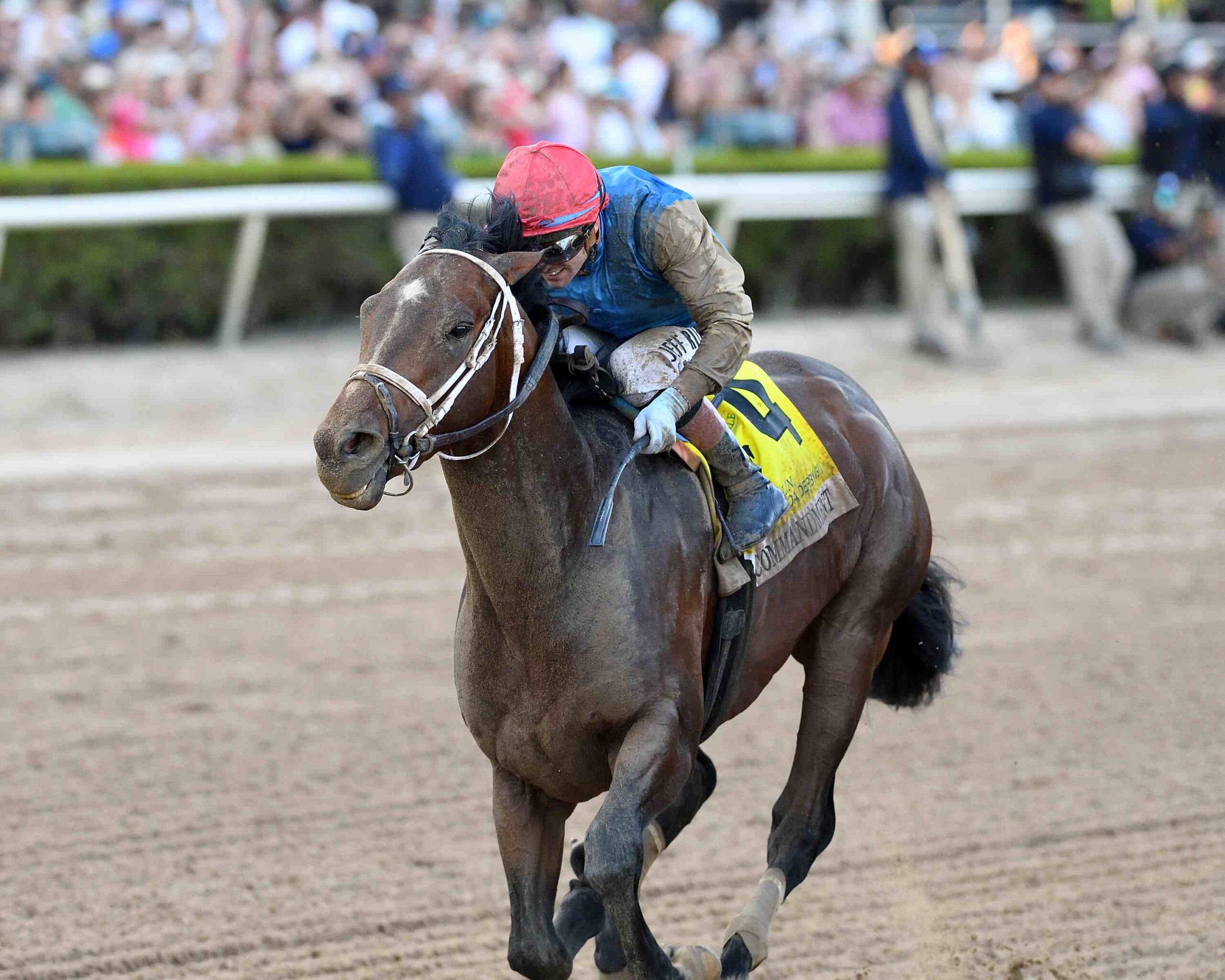 Commandment leading The Puma in Florida Derby ahead of Kentucky Derby 2026