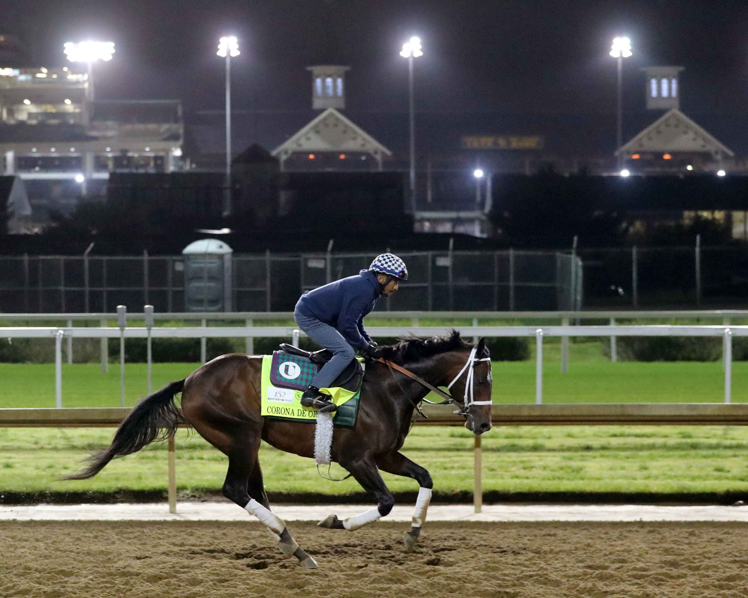 Silent Tactic working at Churchill Downs ahead of the 2026 Preakness Stakes