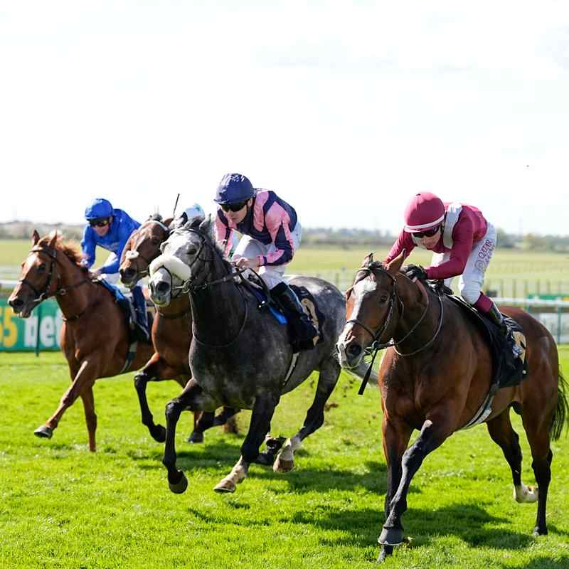 Jancis winning the Dahlia Stakes at Newmarket 2026