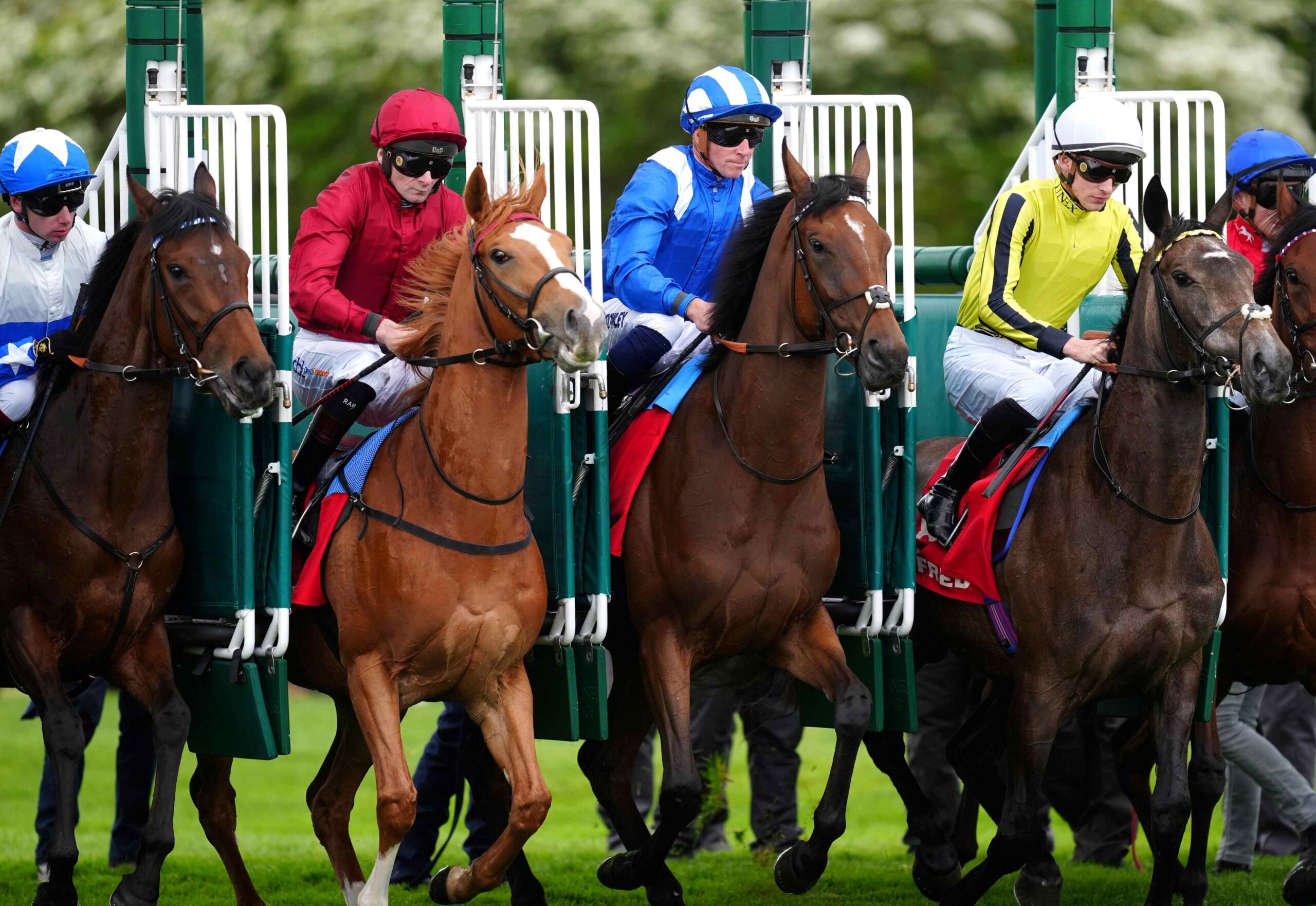 Santorini Star winning the Jockey Club Stakes at Newmarket under Tom Marquand