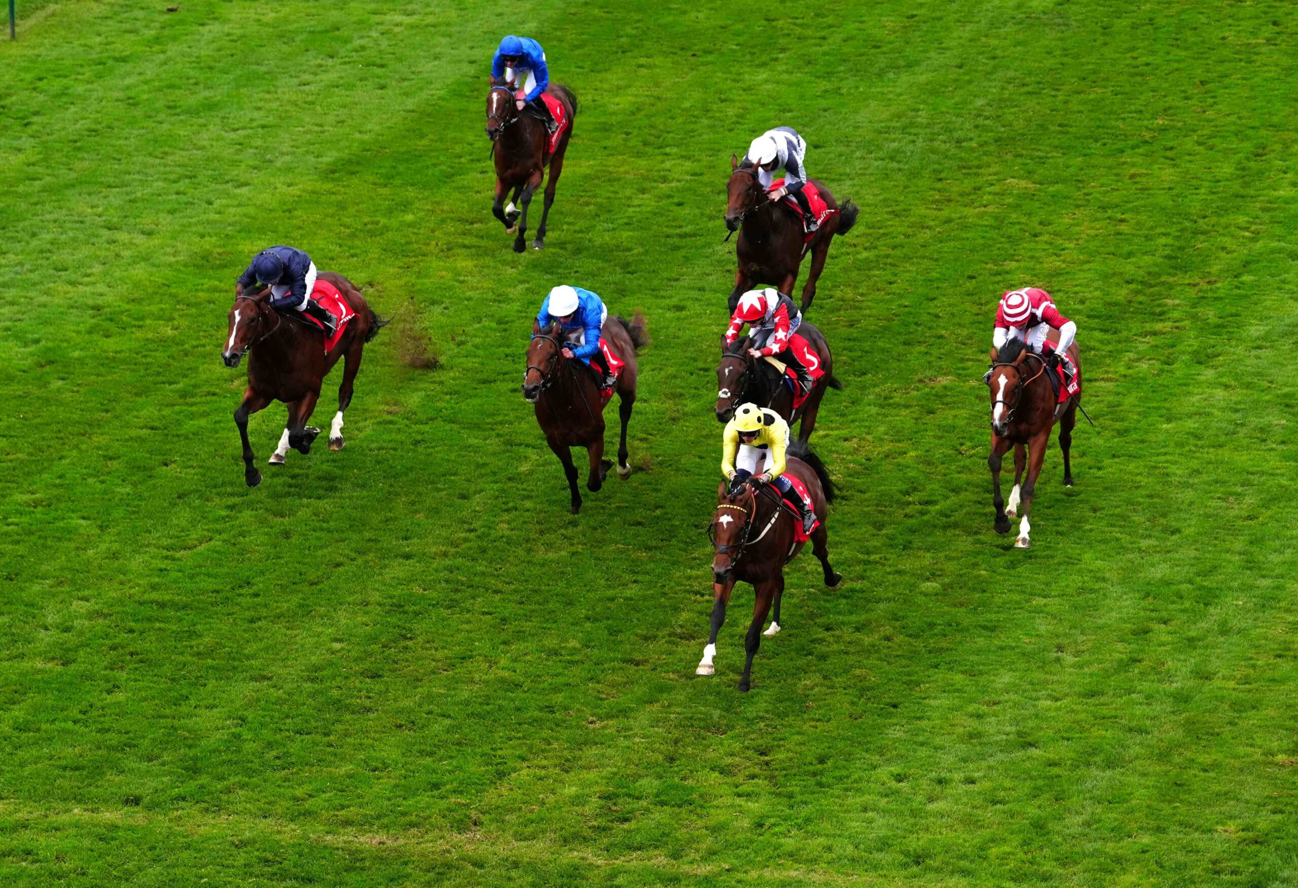 Night Raider winning the Palace House Stakes at Newmarket