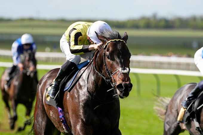 Padraig Dawn training ahead of 2000 Guineas at Newmarket
